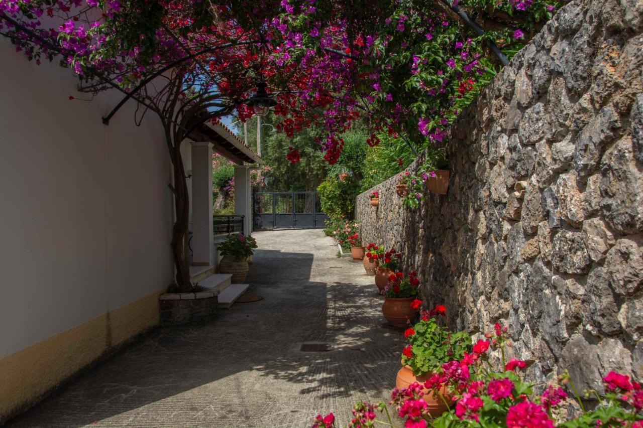 Emmy Villa Paleokastritsa Ngoại thất bức ảnh